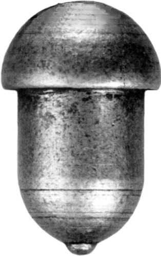 14.307.04 Żołądź duży